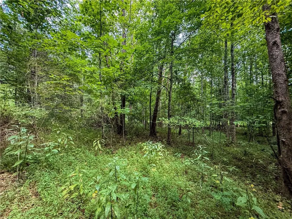 0 Highway 19 Dahlonega, GA 30533