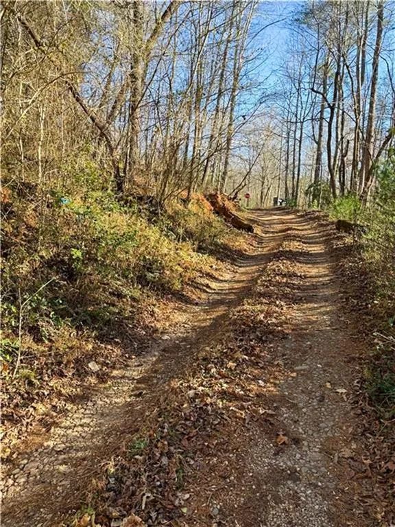 0 Highway 19 Dahlonega, GA 30533