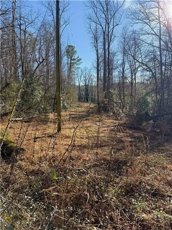 0 Highway 19 Dahlonega, GA 30533