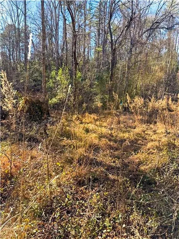 0 Highway 19 Dahlonega, GA 30533