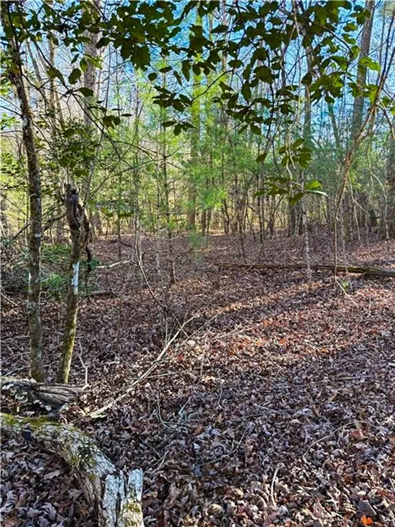 0 Highway 19 Dahlonega, GA 30533