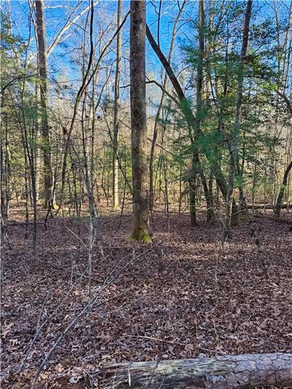 0 Highway 19 Dahlonega, GA 30533