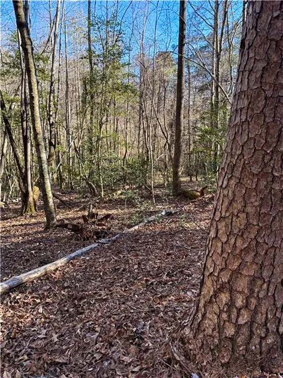 0 Highway 19 Dahlonega, GA 30533