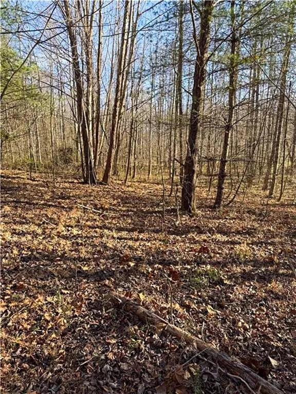 0 Highway 19 Dahlonega, GA 30533