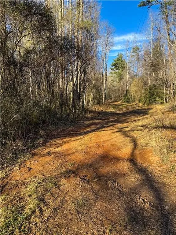 0 Highway 19 Dahlonega, GA 30533