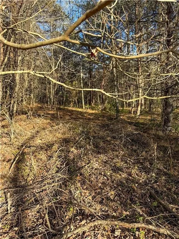 0 Highway 19 Dahlonega, GA 30533