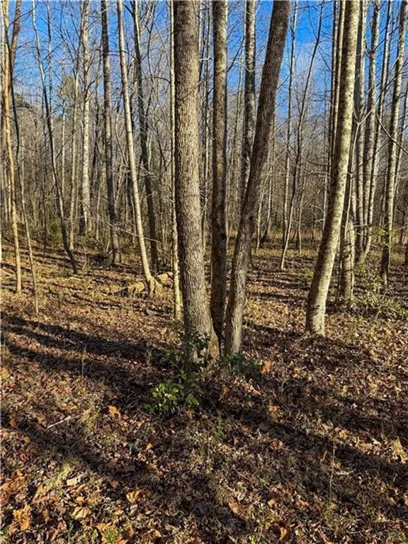 0 Highway 19 Dahlonega, GA 30533