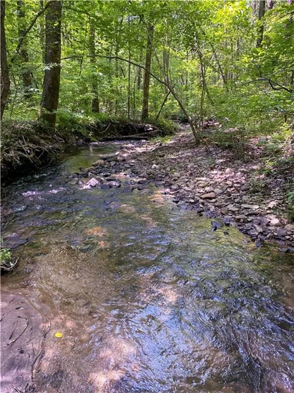 0 Highway 19 Dahlonega, GA 30533