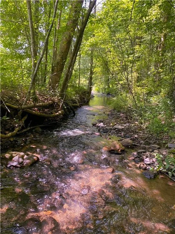 0 Highway 19 Dahlonega, GA 30533
