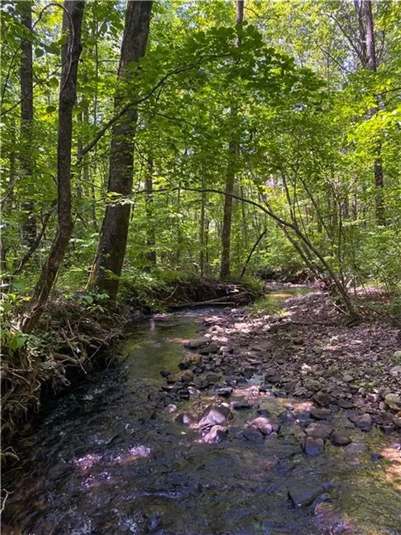 0 Highway 19 Dahlonega, GA 30533