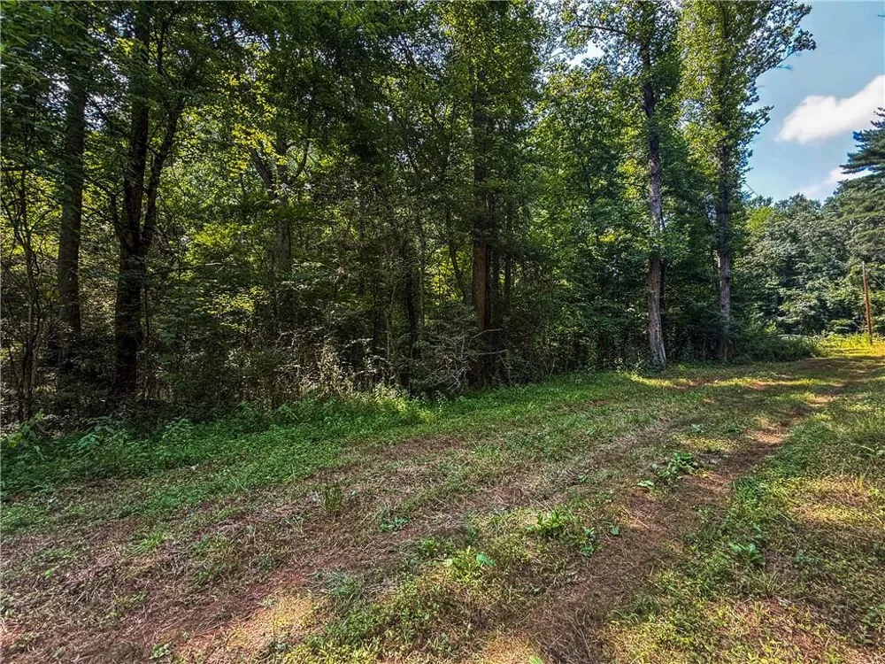 0 Highway 19 Dahlonega, GA 30533