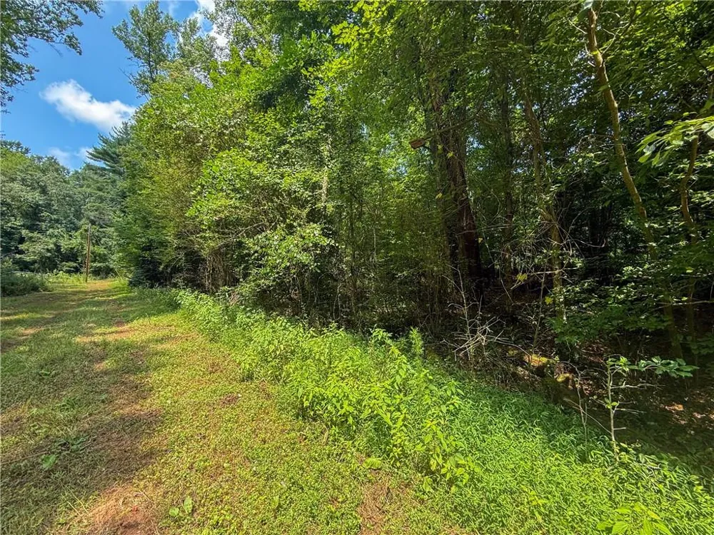 0 Highway 19 Dahlonega, GA 30533