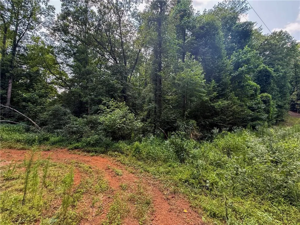 0 Highway 19 Dahlonega, GA 30533