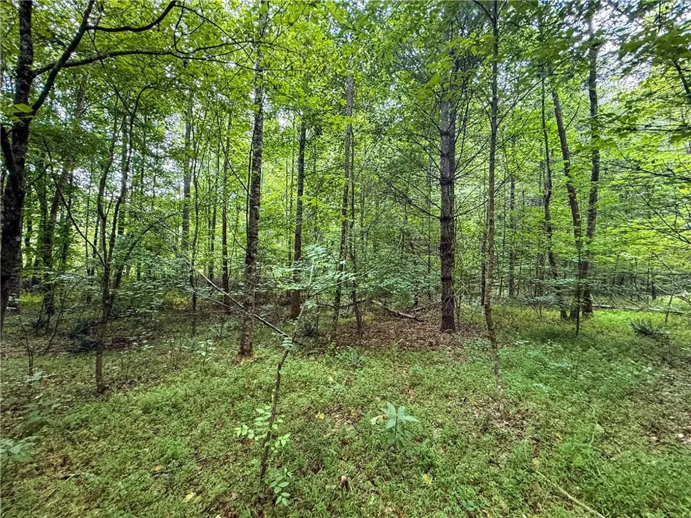 0 Highway 19 Dahlonega, GA 30533