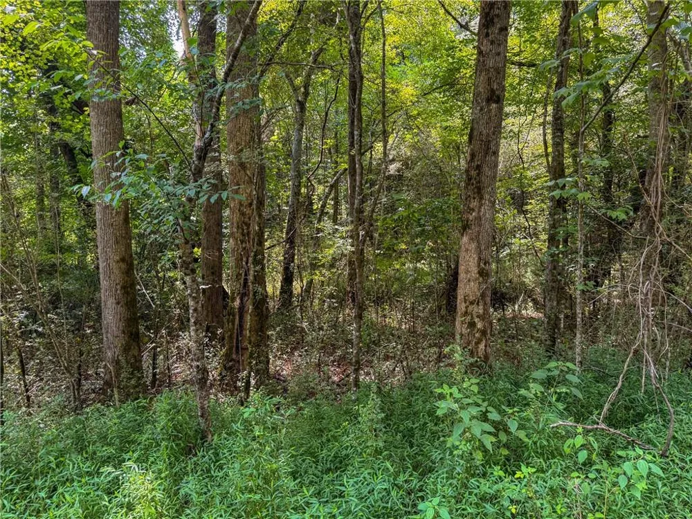 0 Highway 19 Dahlonega, GA 30533