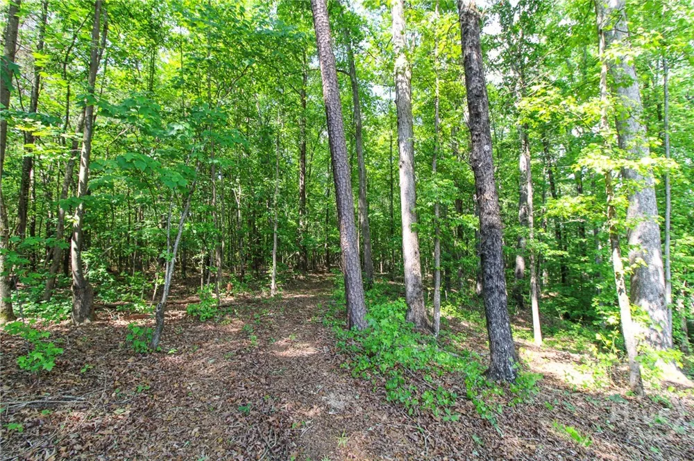 Address Not Shown Statham, GA 30666