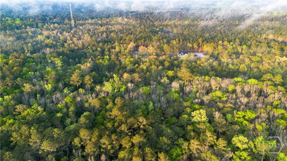 4 Little McCall Road Rincon, GA 31326