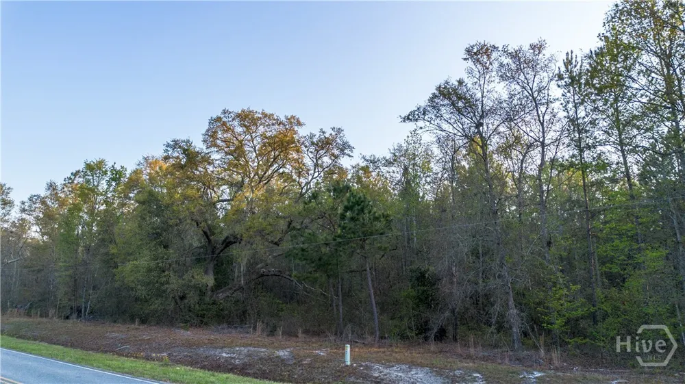 4 Little McCall Road Rincon, GA 31326