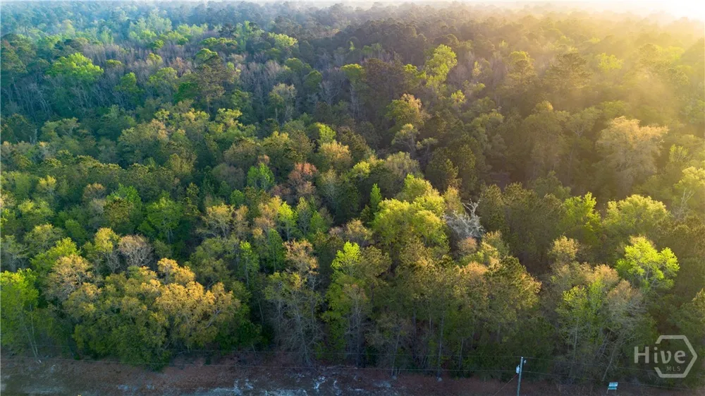 4 Little McCall Road Rincon, GA 31326