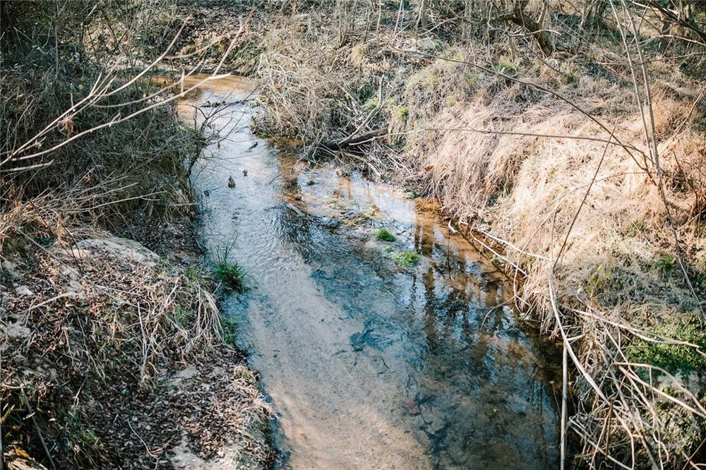 Ralph Bridges Road Lexington, GA 30648