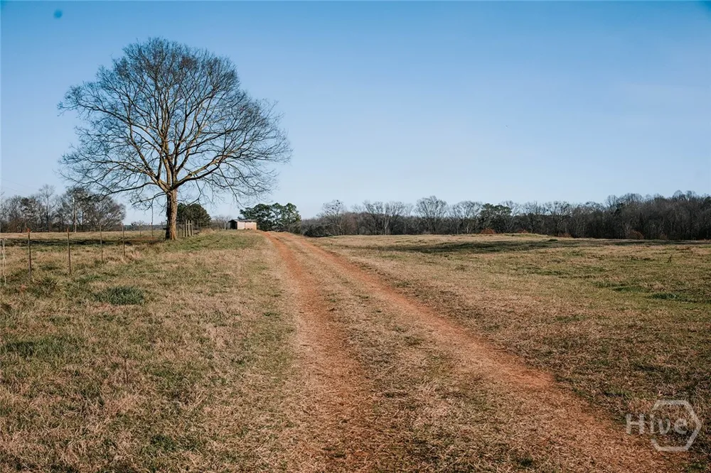 Ralph Bridges Road Lexington, GA 30648