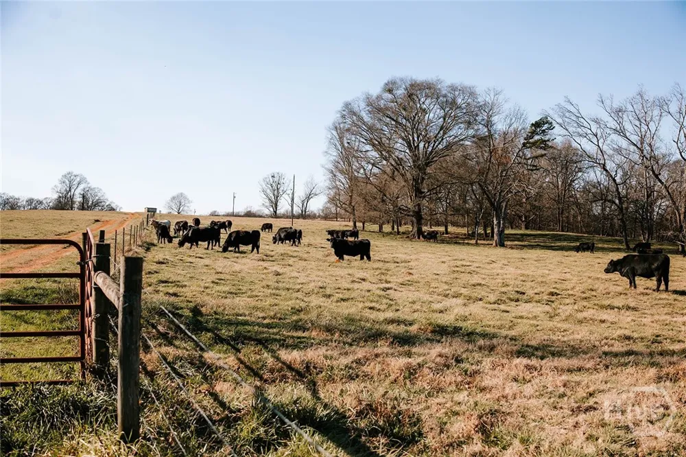 Ralph Bridges Road Lexington, GA 30648