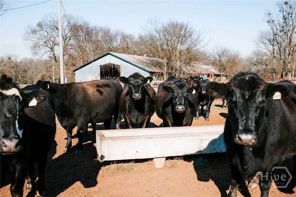Ralph Bridges Road Lexington, GA 30648