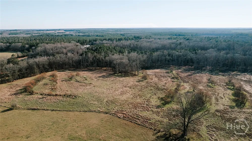 Ralph Bridges Road Lexington, GA 30648