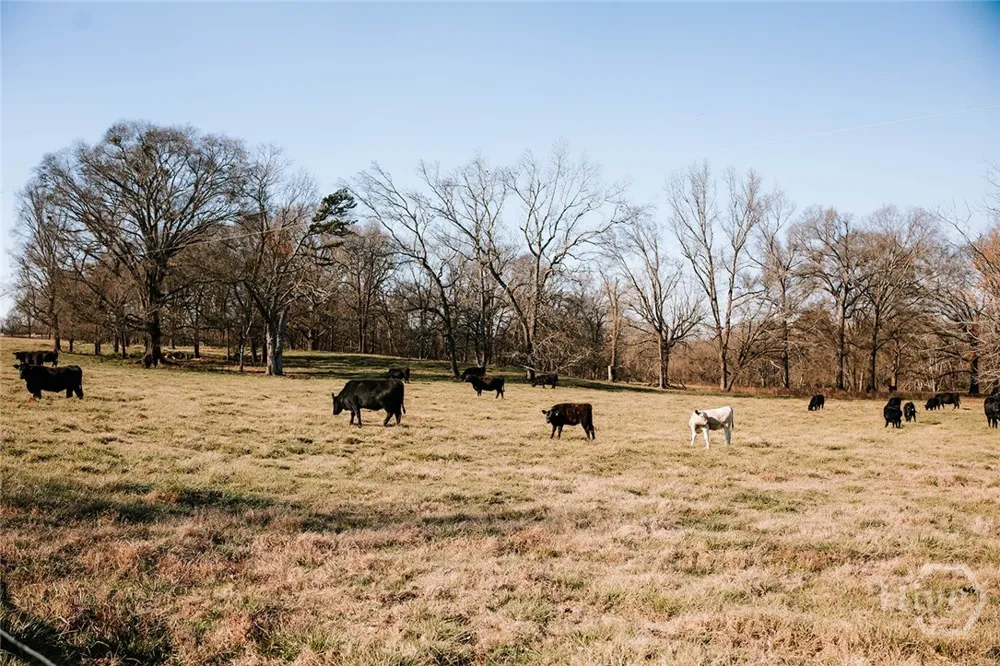 Ralph Bridges Road Lexington, GA 30648