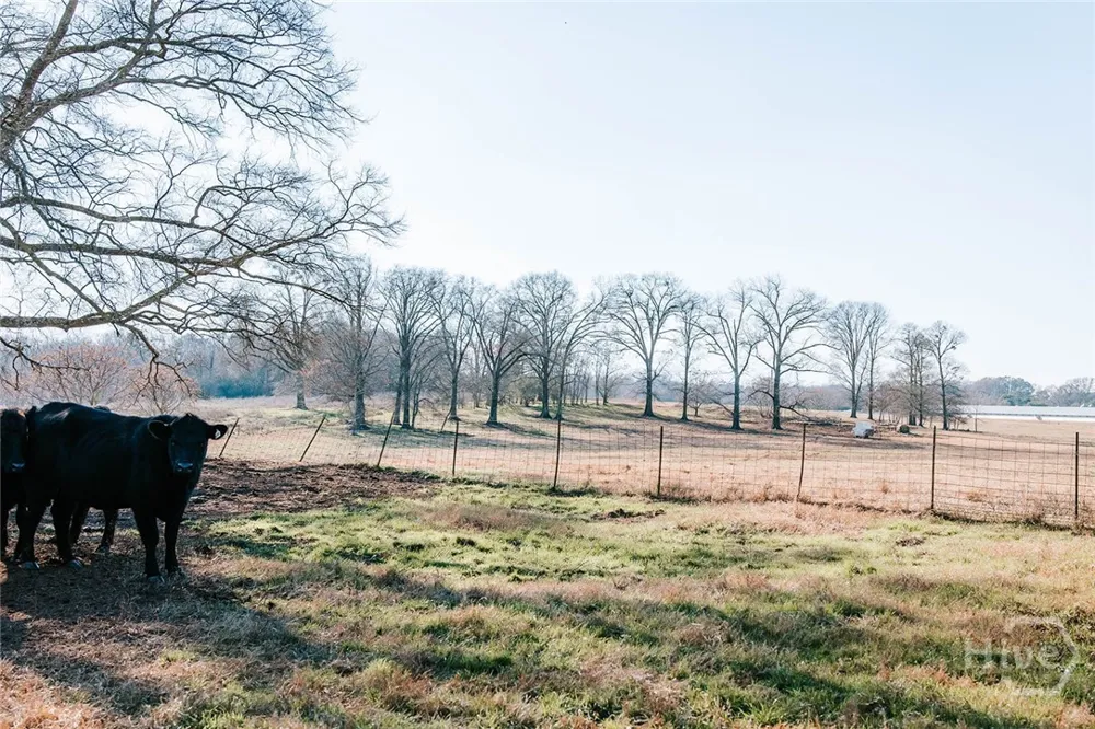 Ralph Bridges Road Lexington, GA 30648
