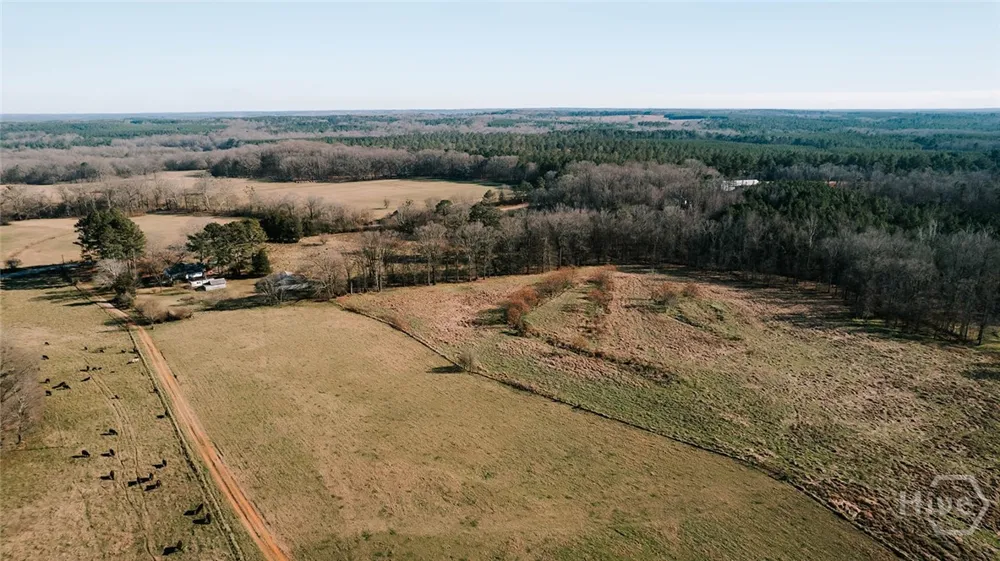 Ralph Bridges Road Lexington, GA 30648