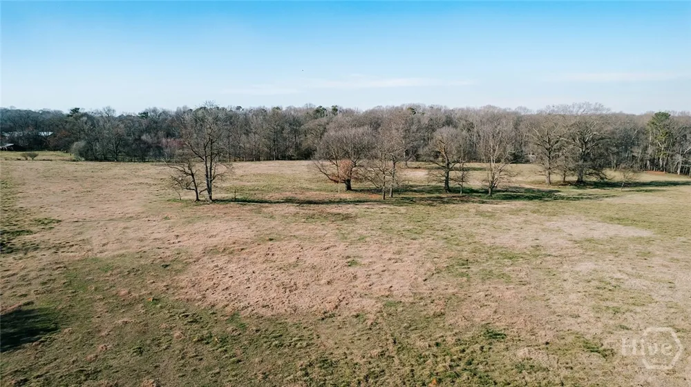 Ralph Bridges Road Lexington, GA 30648
