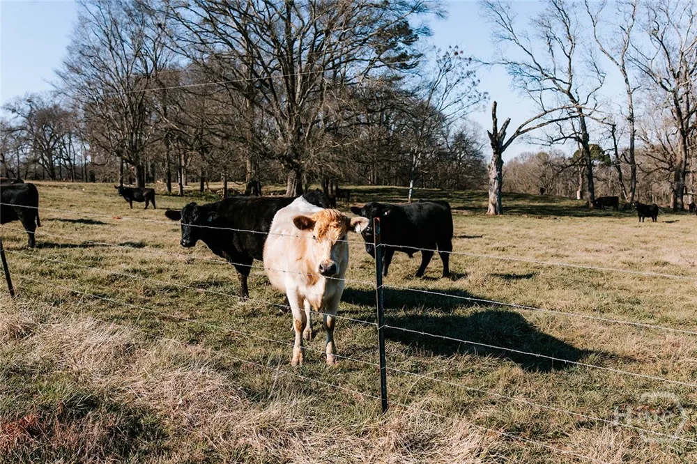 Ralph Bridges Road Lexington, GA 30648