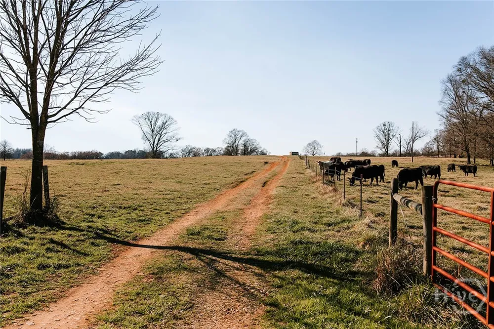 Ralph Bridges Road Lexington, GA 30648