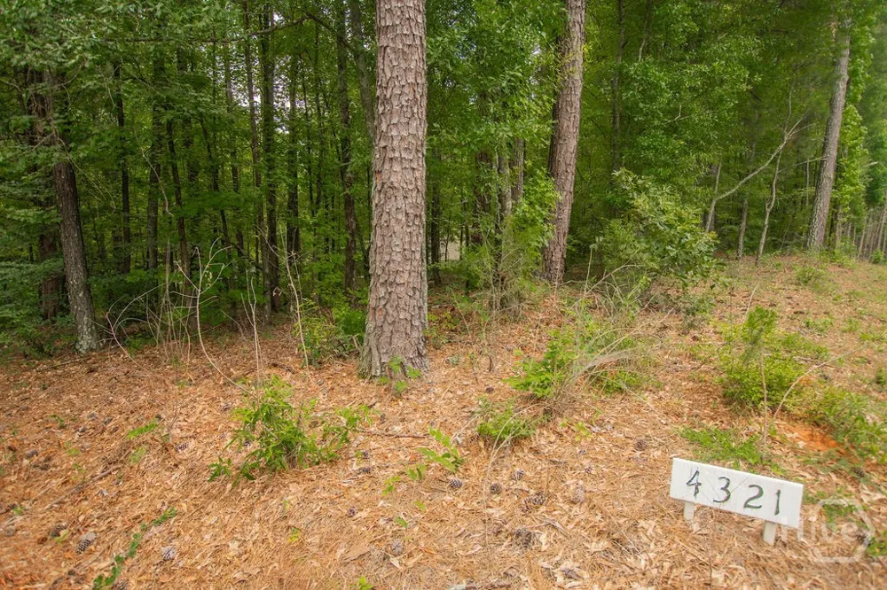 4321 Highway 186 Good Hope, GA 30641