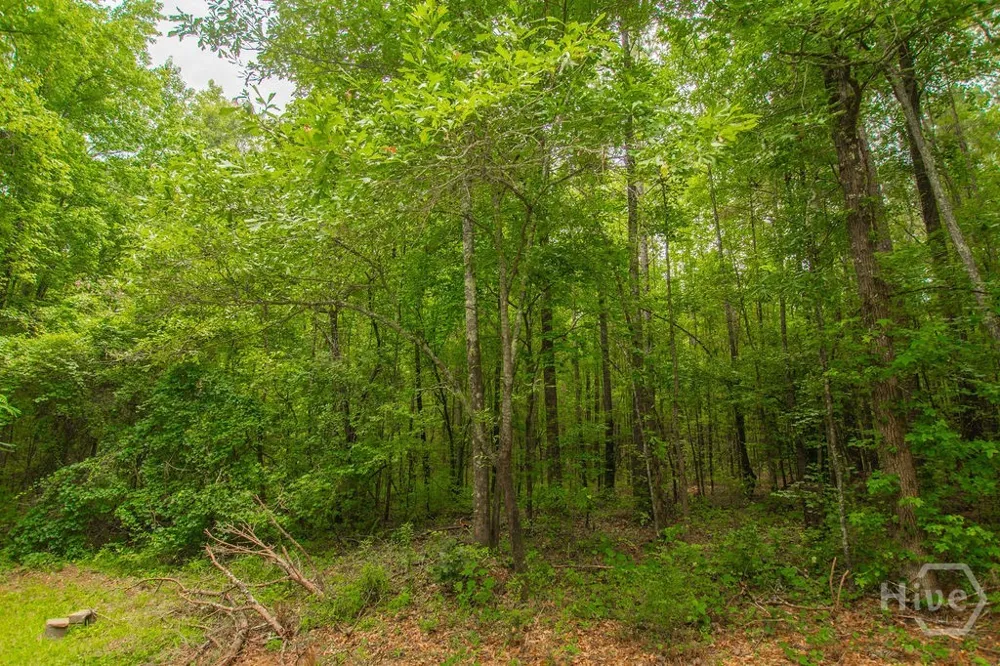 4321 Highway 186 Good Hope, GA 30641