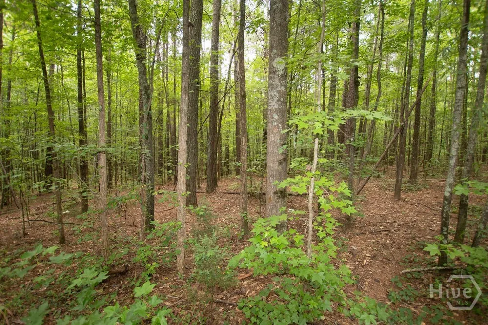4321 Highway 186 Good Hope, GA 30641