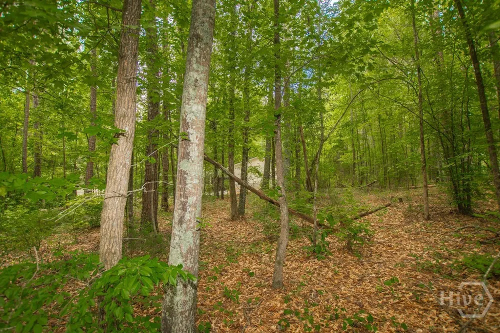4321 Highway 186 Good Hope, GA 30641