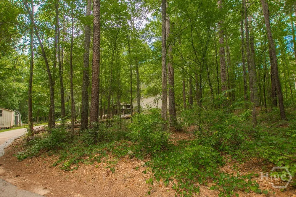4321 Highway 186 Good Hope, GA 30641