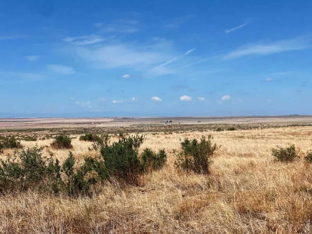 0 County Road 93 Briggsdale, CO 80611