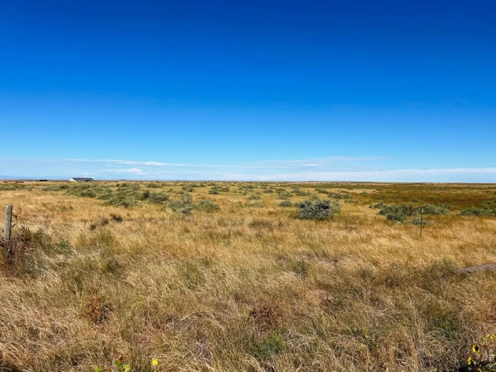 0 County Road 93 Briggsdale, CO 80611