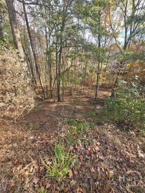 2412 Snowshoe Bend