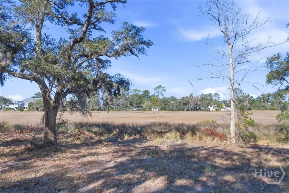 6 Bermuda Bluff Lane Midway, GA 31320