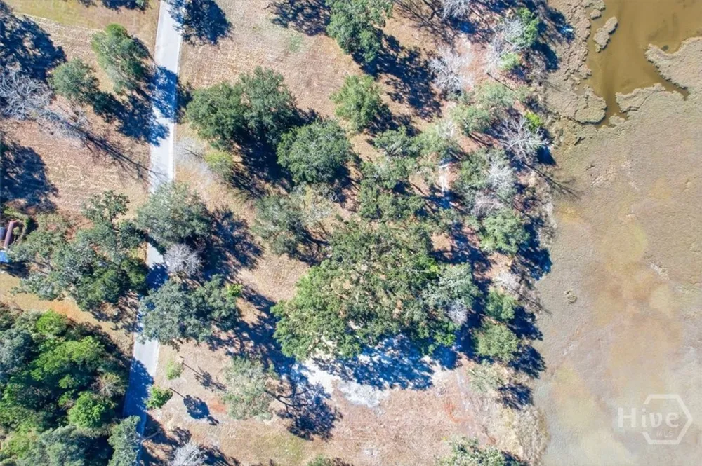 6 Bermuda Bluff Lane Midway, GA 31320