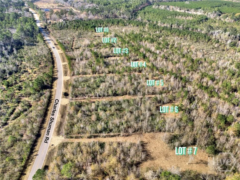 5 Charles Shuman Road Pembroke, GA 31321