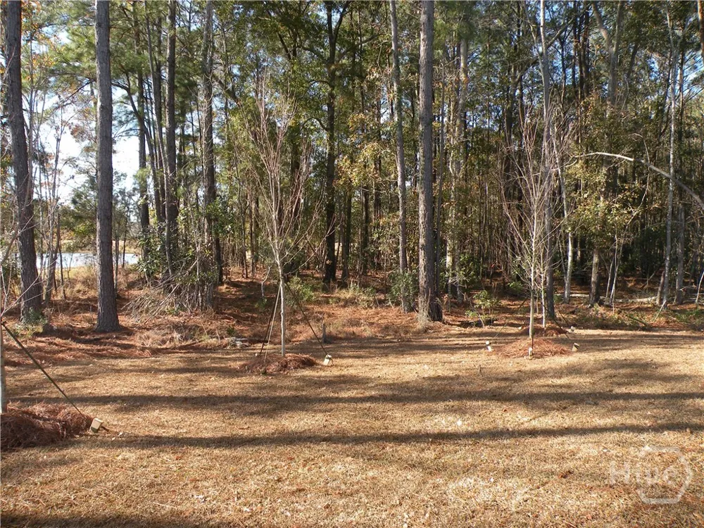 247 Sonoma Drive Pooler, GA 31322