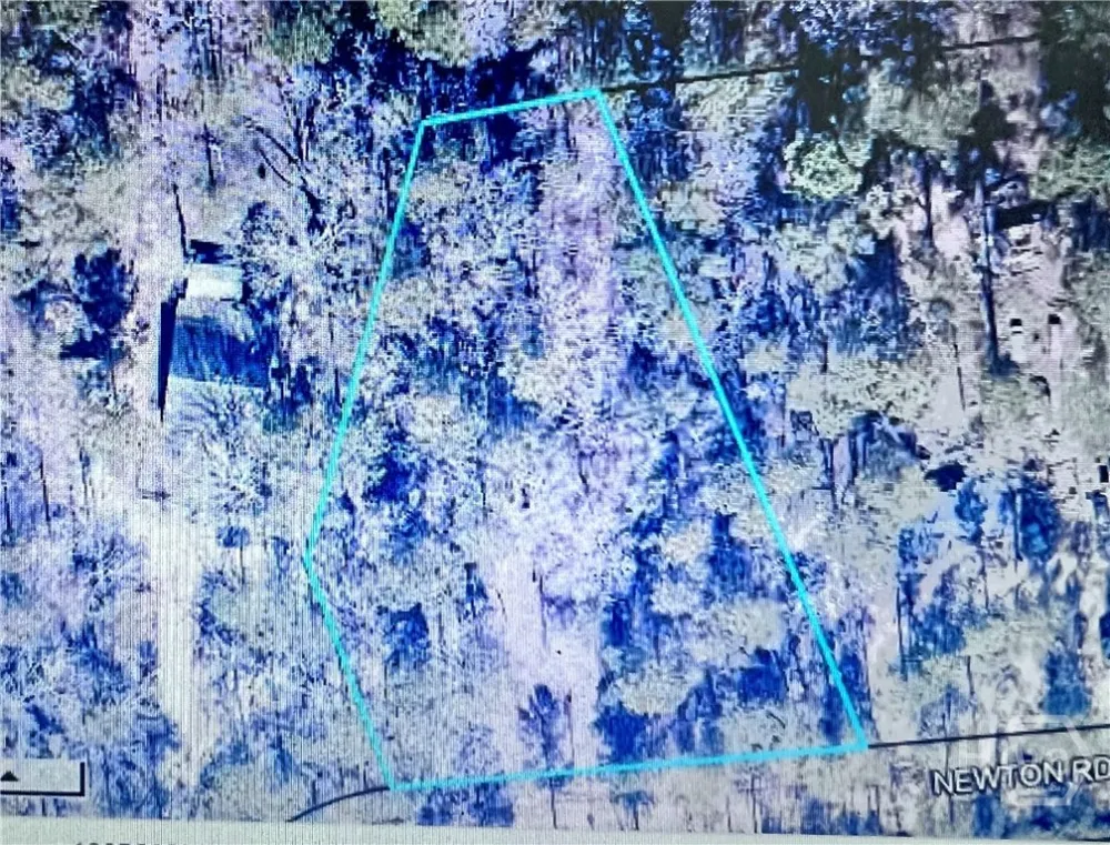 Newton Rd Statesboro, GA 30461