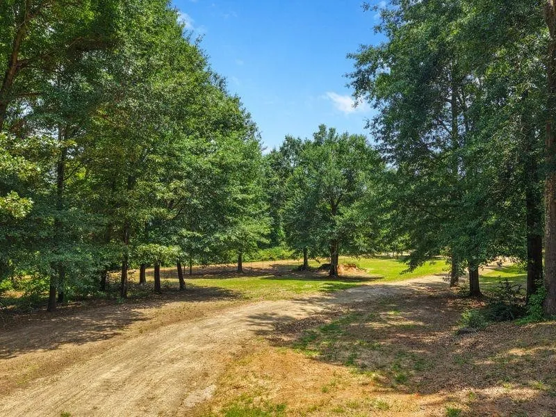 2226 Holly Road Gilmer, TX 75644