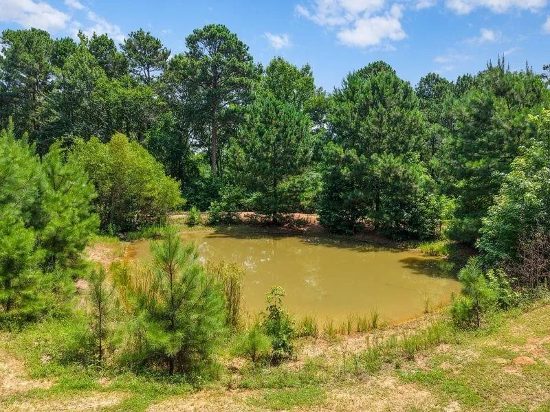 2226 Holly Road Gilmer, TX 75644