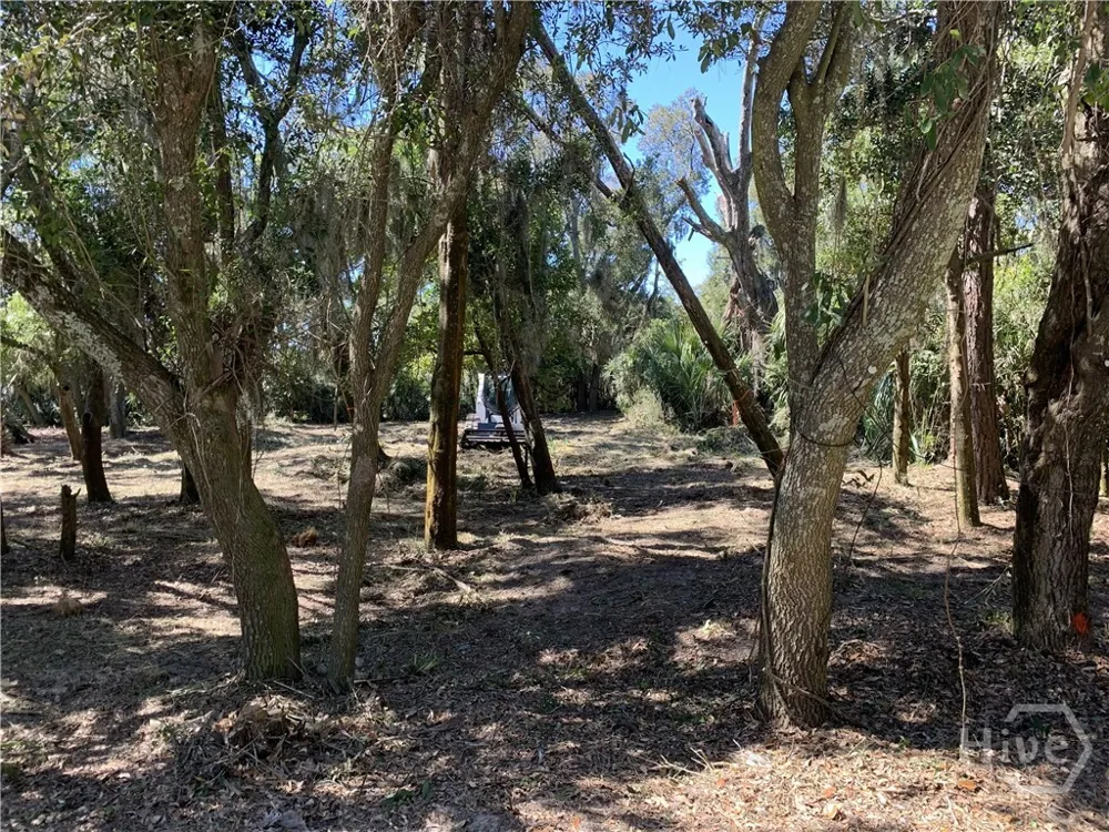 McKenzie Avenue Tybee Island, GA 31328